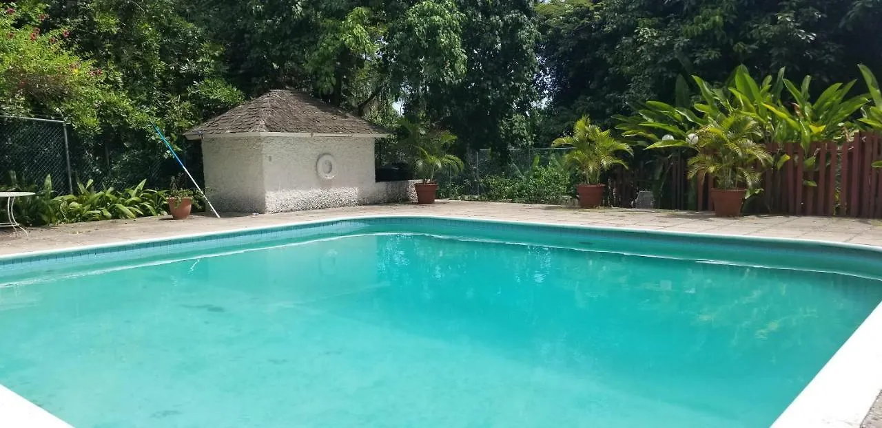 The Rock Villa Kingston