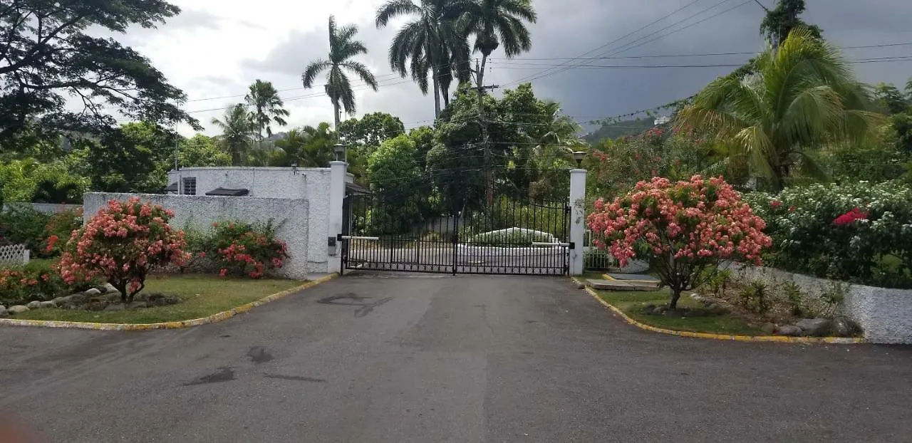 The Rock Villa Kingston