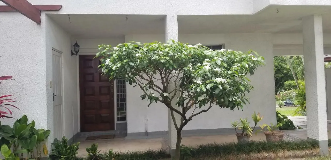 The Rock Villa Kingston